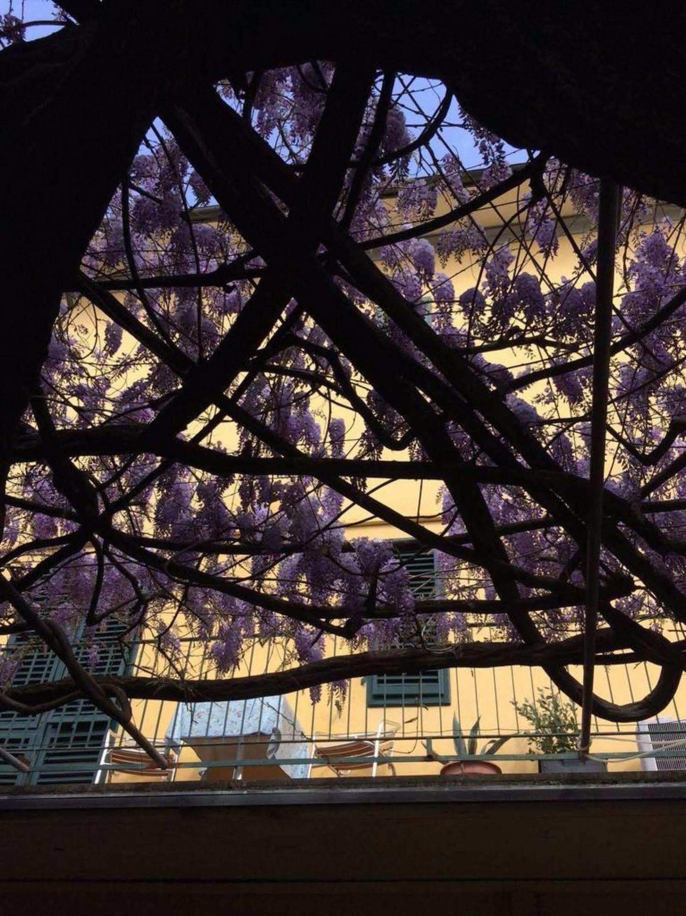 Hotel Stipino Lucca Exterior foto